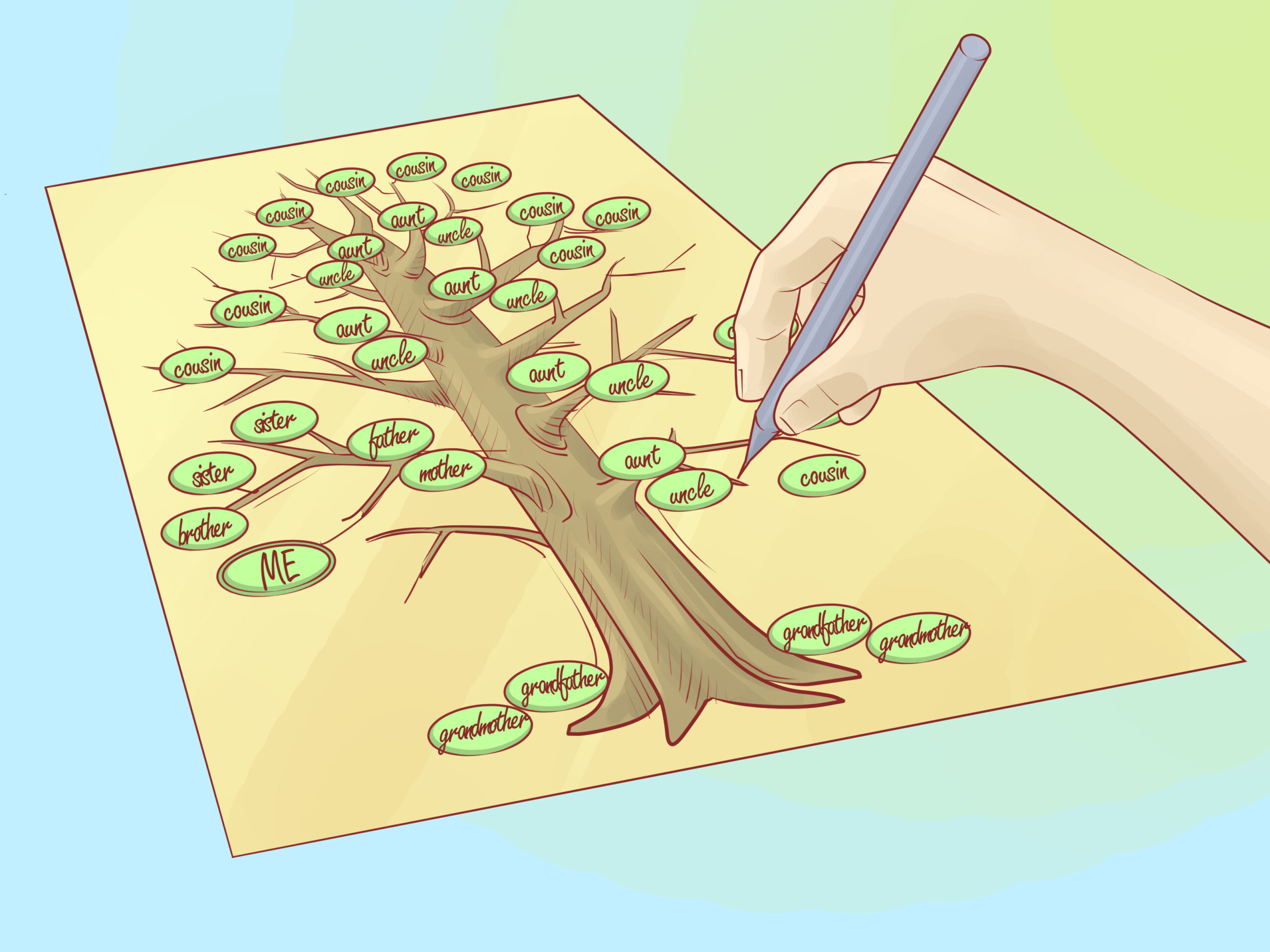 Image of a hand drawing a family tree